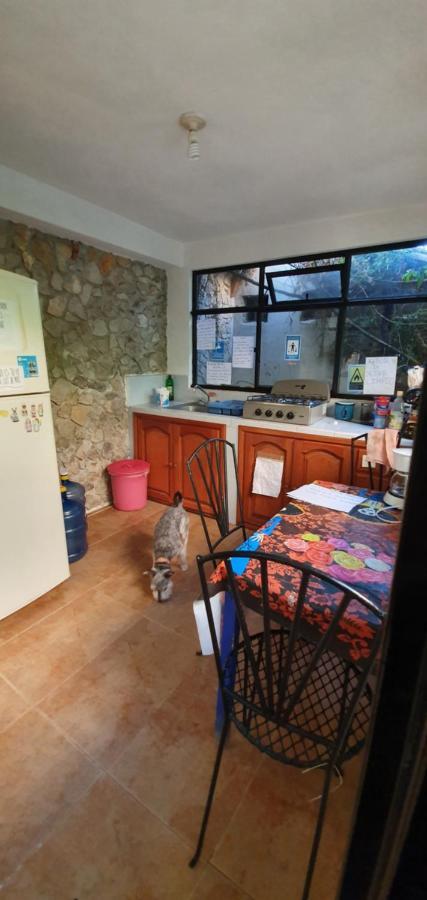 Hotel Posada Casa Juana San Cristóbal de Las Casas Εξωτερικό φωτογραφία