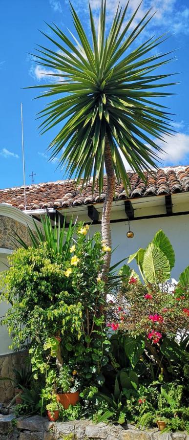 Hotel Posada Casa Juana San Cristóbal de Las Casas Εξωτερικό φωτογραφία